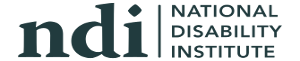 NDI Logo